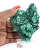 Échantillon de malachite fibreuse congolaise sur socle transparent - 6