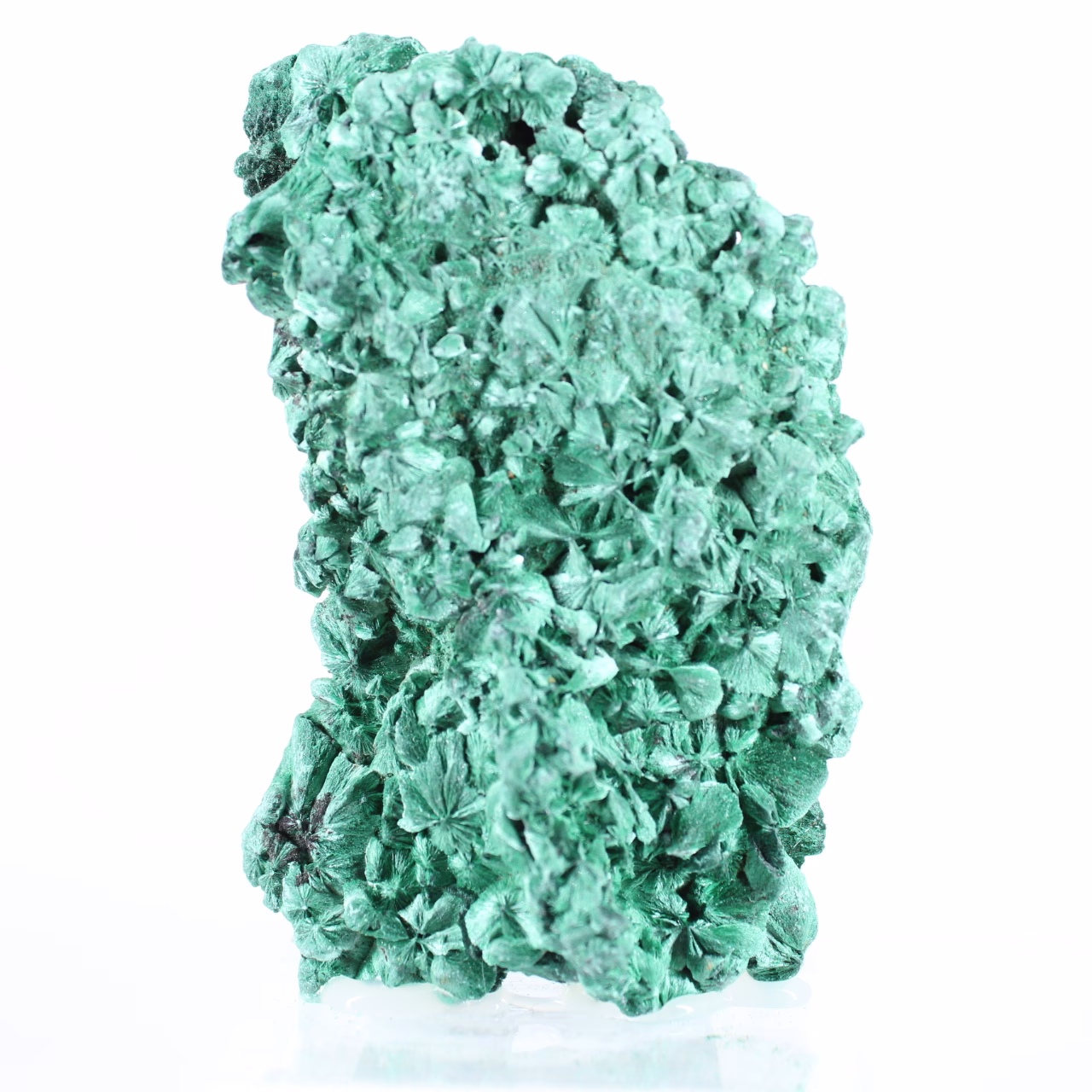 Malachite fibreuse du Congo, pierre de collection au lustre satiné
