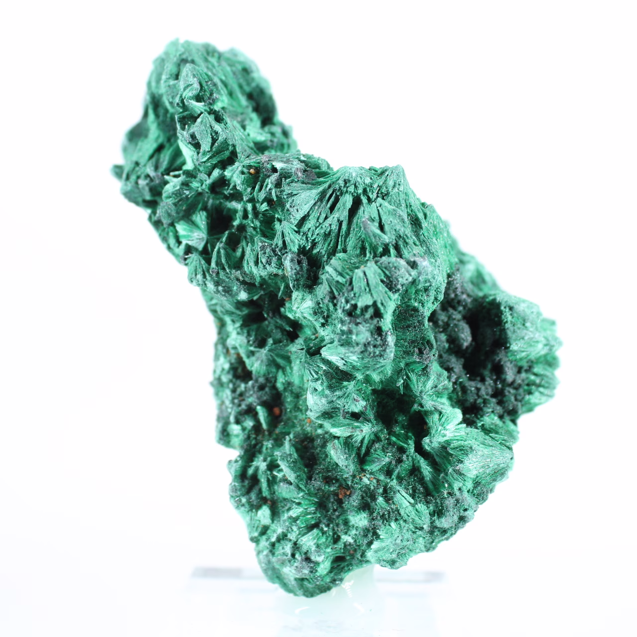 Pierre de malachite de RDC en fibres rayonnantes, socle acrylique
