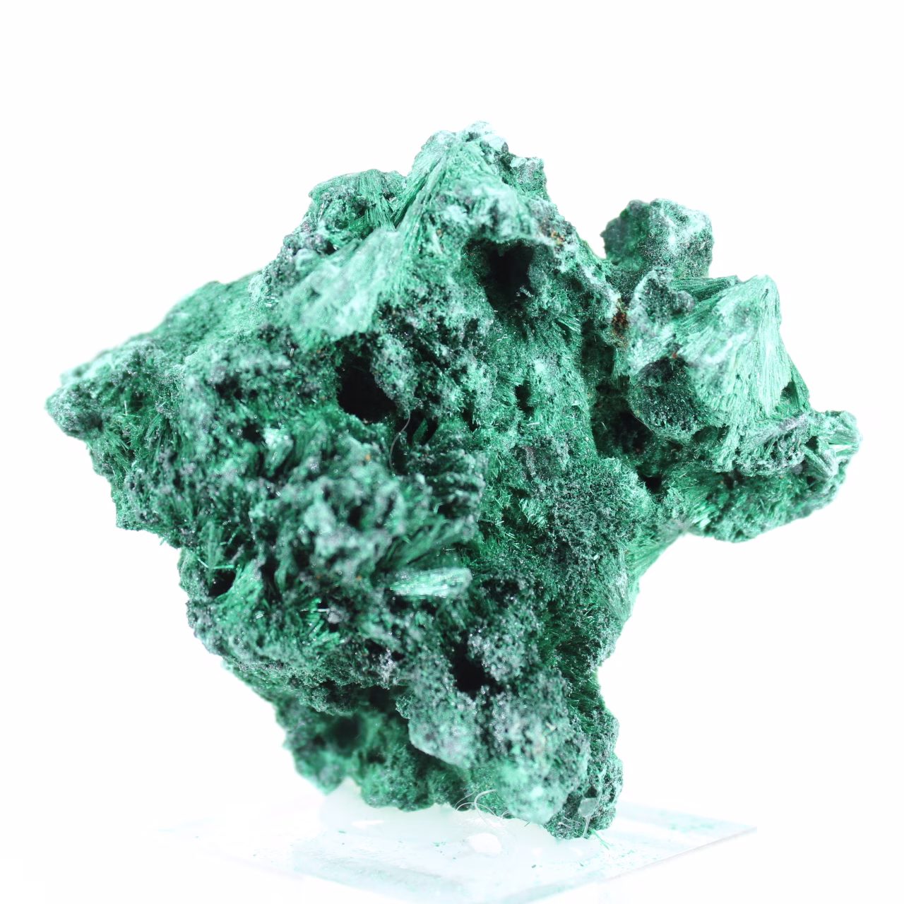 Malachite naturelle à texture fibreuse du Congo, pièce sur socle