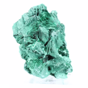 Malachite dense à fibres serrées du Congo, minéral sur acrylique