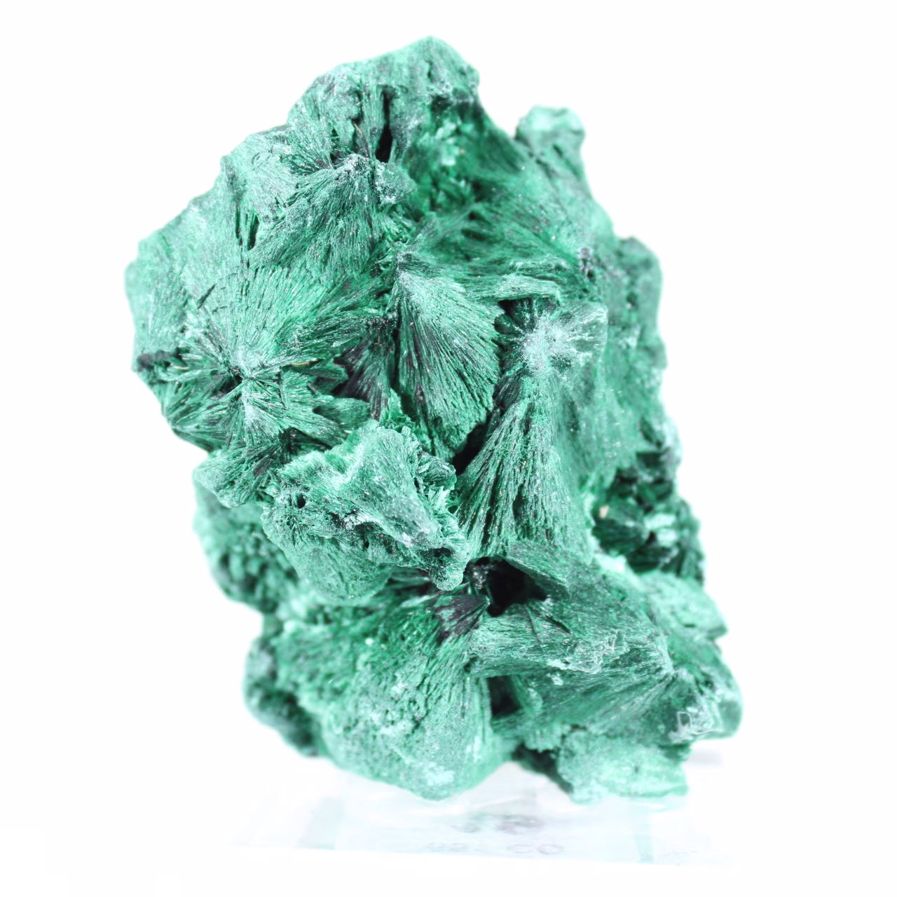 Malachite dense à fibres serrées du Congo, minéral sur acrylique