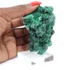 Malachite fibreuse de République démocratique du Congo sur socle - 6