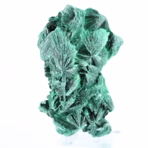 Malachite fibreuse de République démocratique du Congo sur socle