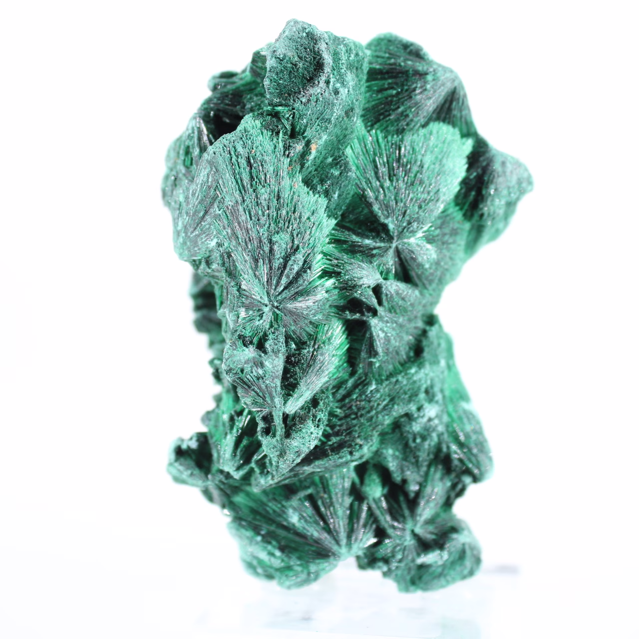 Malachite fibreuse de République démocratique du Congo sur socle