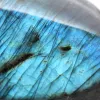 Forme Libre Minérale Labradorite Polie de Madagascar - 4