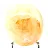 Quartz jaune poli de Madagascar, galet de collection