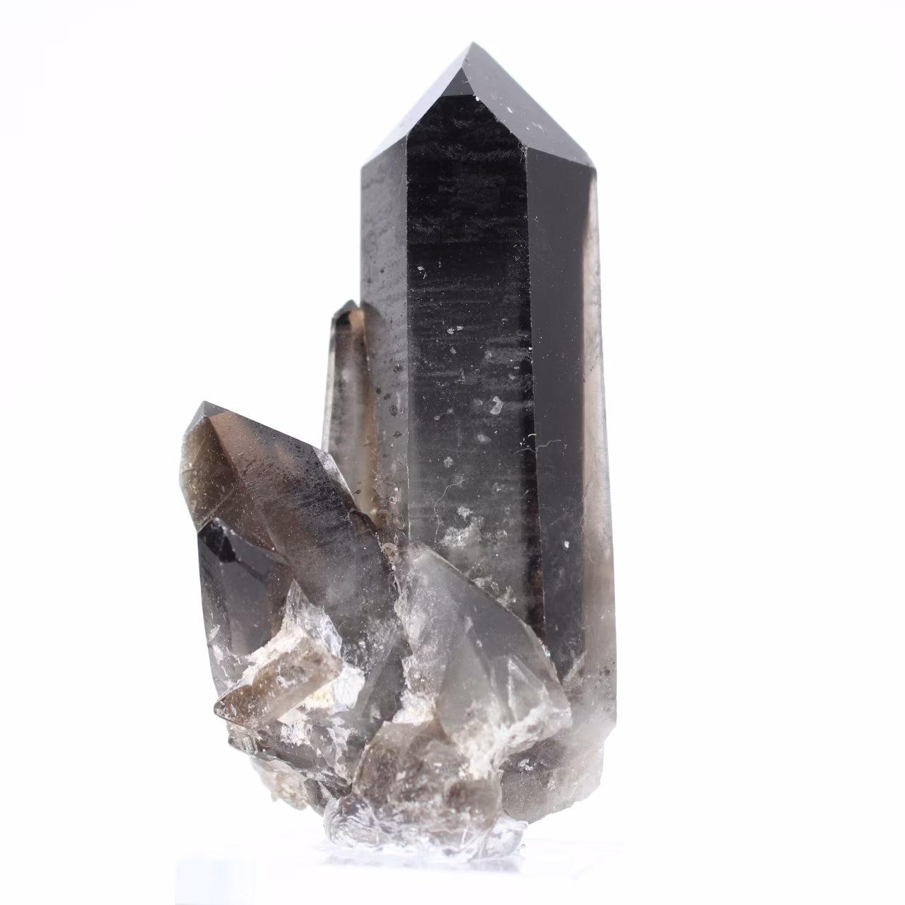 Cristal de quartz morion du Brésil sur socle acrylique, collection