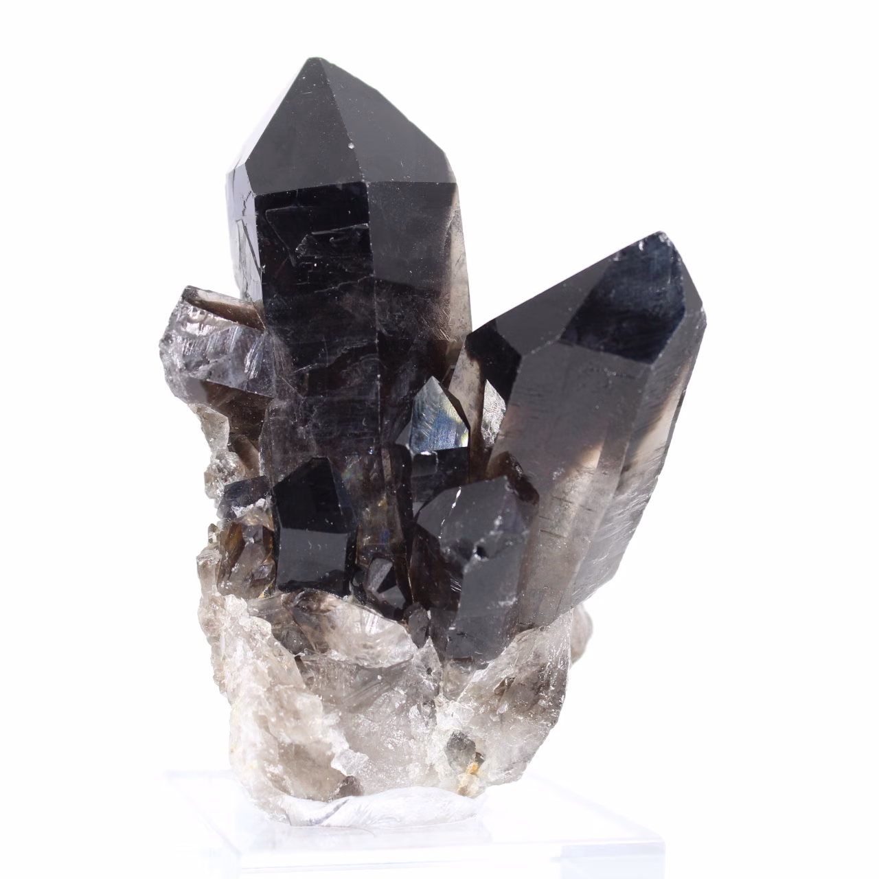 Quartz morion noir du Brésil, cristal unique avec socle acrylique