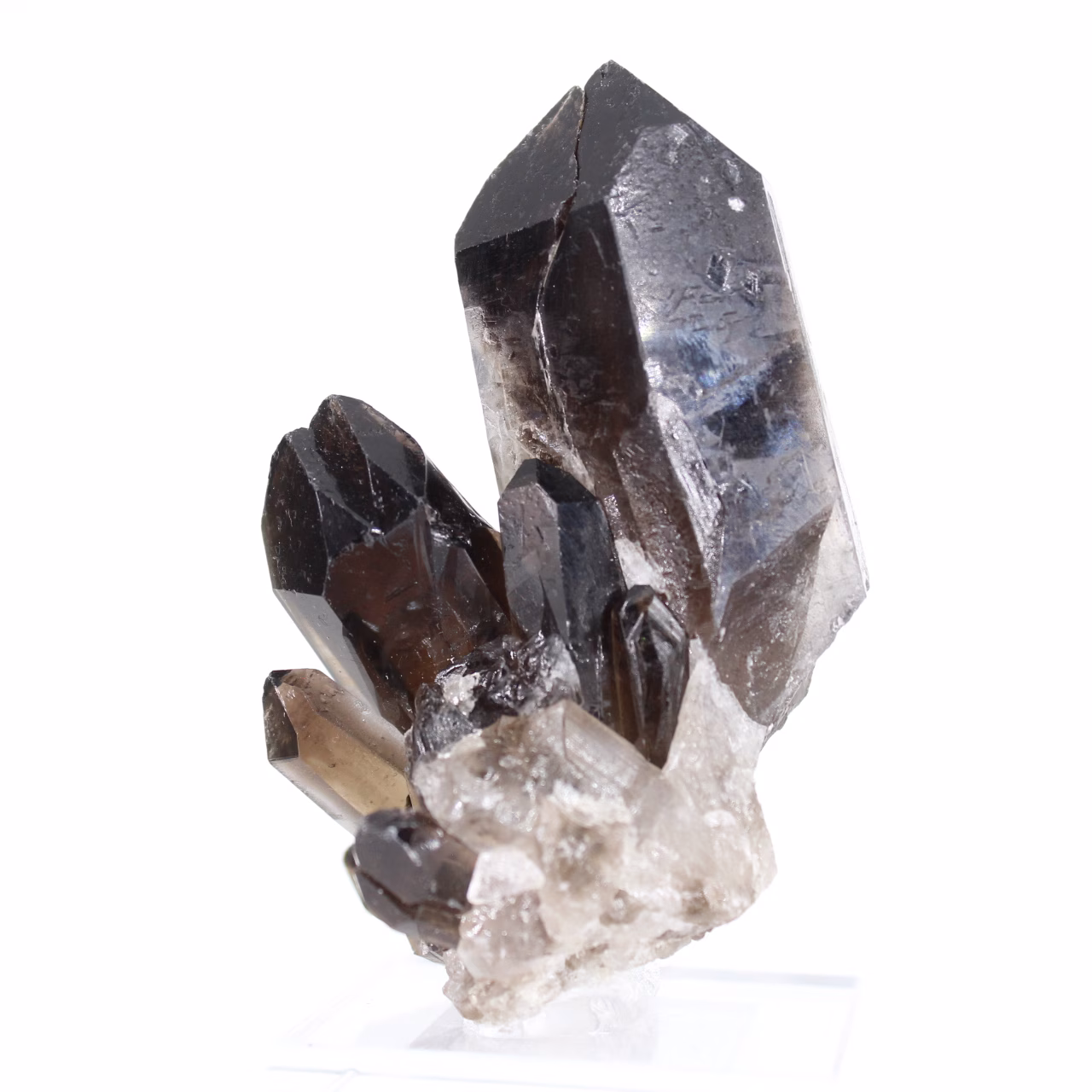 Cristal de quartz morion trapu du Brésil, spécimen minéral sur socle