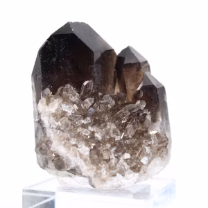 Quartz morion du Brésil, cristal noir naturel monté sur socle
