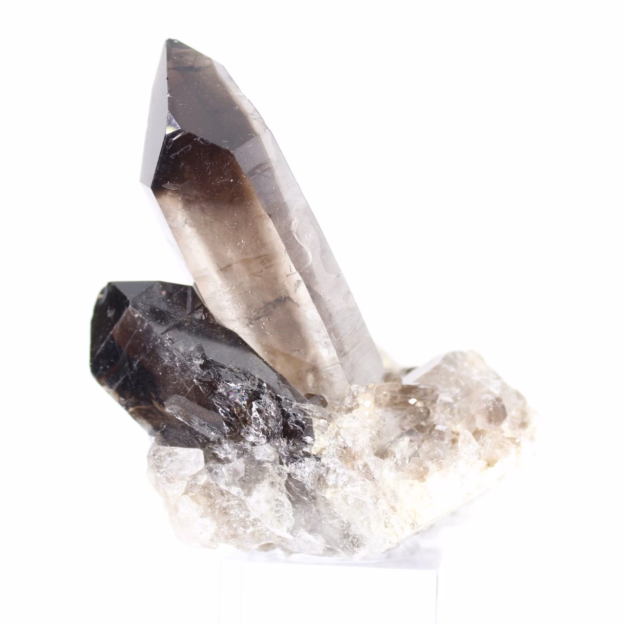 Morion du Brésil, cristal de quartz fumé noir sur socle acrylique