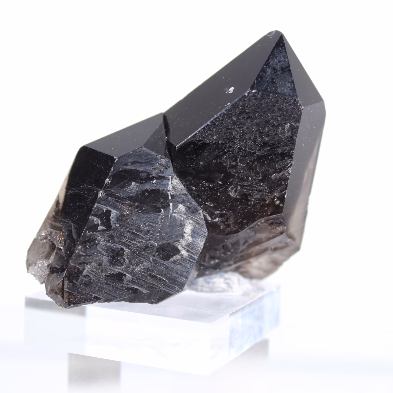 Petit cristal de quartz morion naturel du Brésil sur socle acrylique