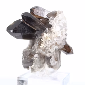 Cristal de quartz morion d'origine brésilienne, présentoir acrylique