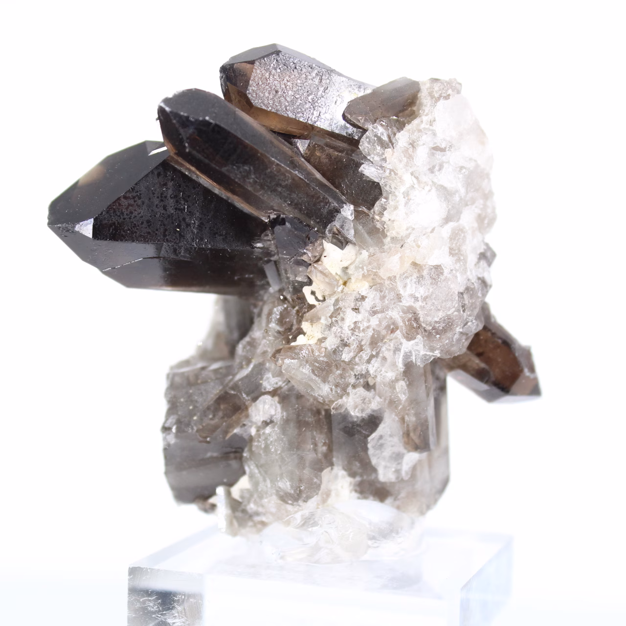 Cristal de quartz morion d'origine brésilienne, présentoir acrylique