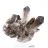 Cristal de quartz morion du Brésil, minéral noir monté sur socle