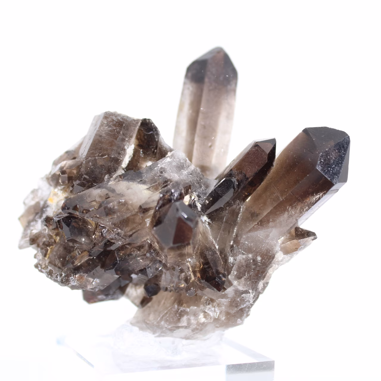 Cristal de quartz morion du Brésil, minéral noir monté sur socle