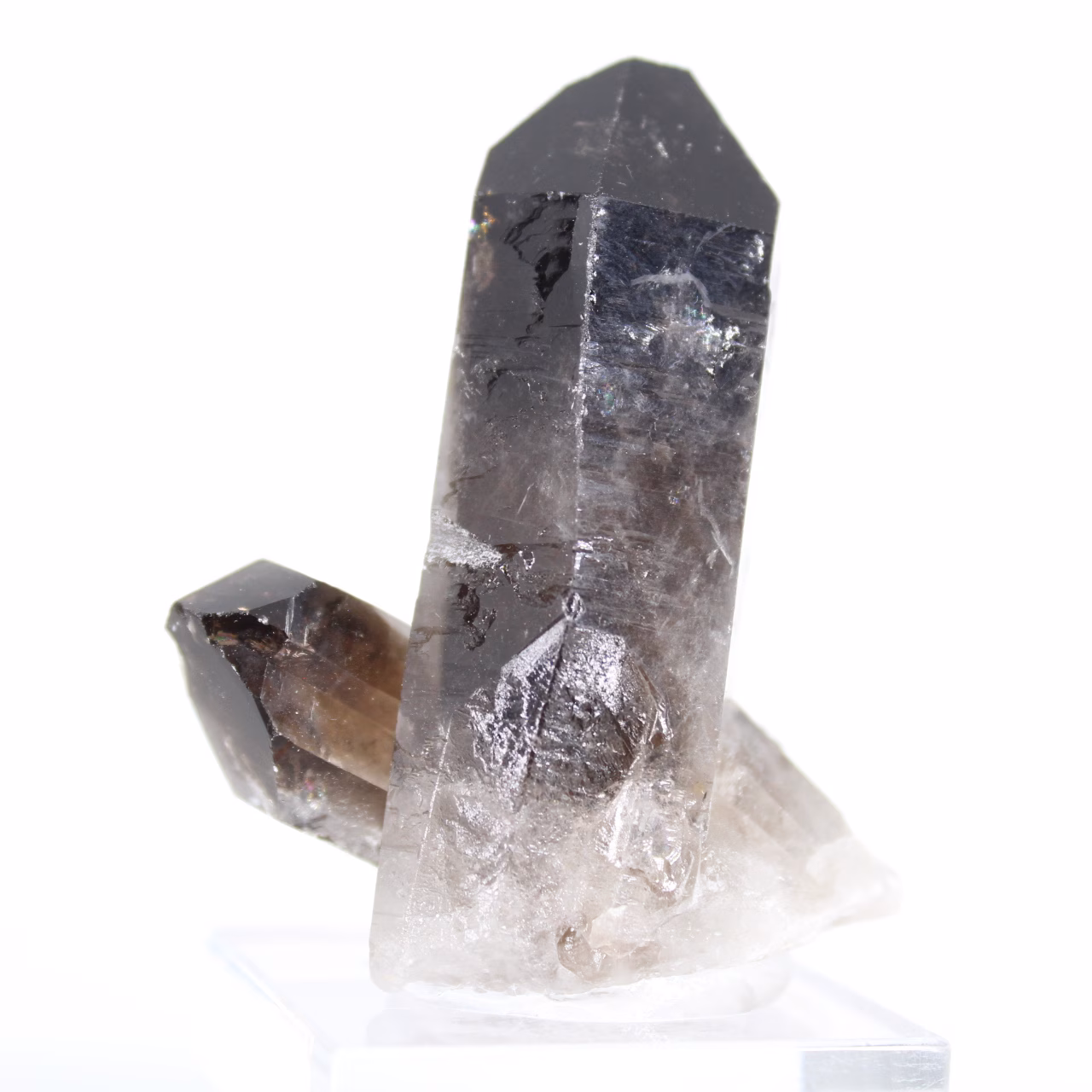 Petit quartz morion cristallisé du Brésil, présenté avec son socle