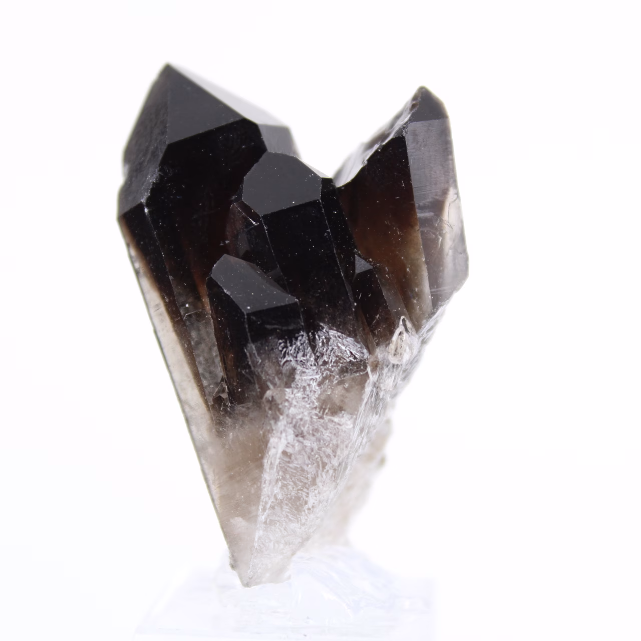 Petite pièce de quartz morion brésilien, cristal sur support
