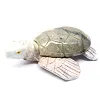 Tortue sculptée en stéatite naturelle de Bolivie - 3