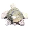Tortue sculptée en stéatite naturelle de Bolivie - 4