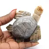 Tortue en pierre de stéatite sculptée de Bolivie - 0
