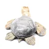 Tortue en pierre de stéatite sculptée de Bolivie - 4