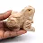 Grenouille sculptée en stéatite de Bolivie