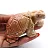 Figurine de tortue en stéatite naturelle de Bolivie