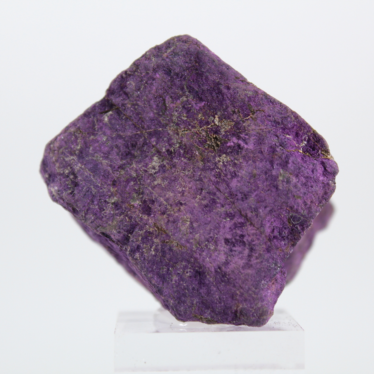 Purpurite portugaise brute montée sur socle pour collection